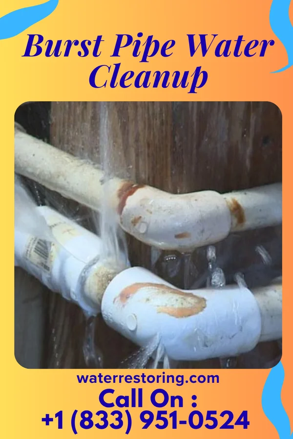 Burst Pipe Water Cleanup in Chalmers, IN